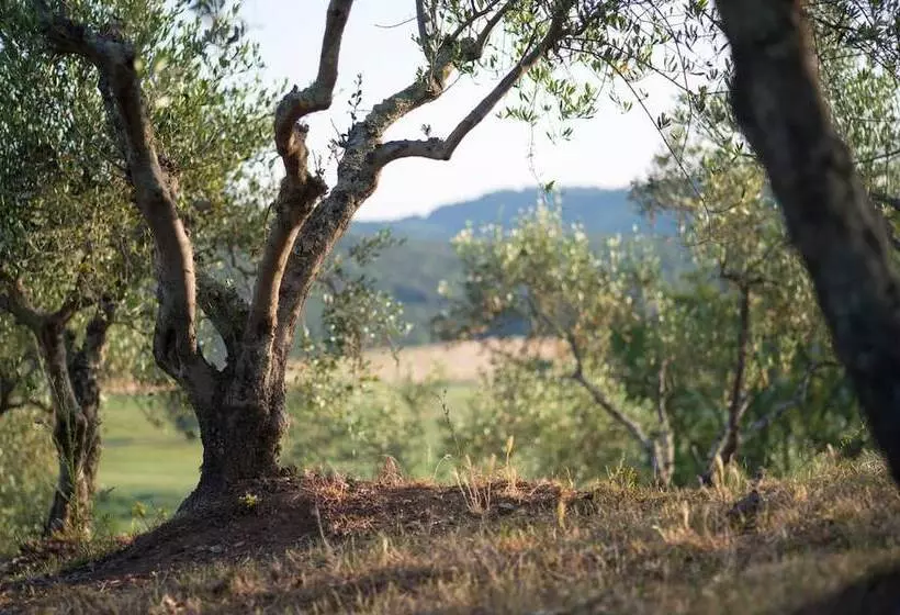 田舎風ホテル Agriturismo Poggio Corbello