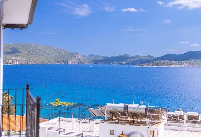 هتل White House Apart