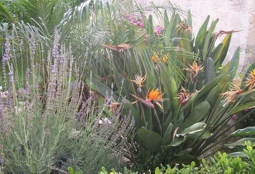 Mariposa Bed And Breakfast