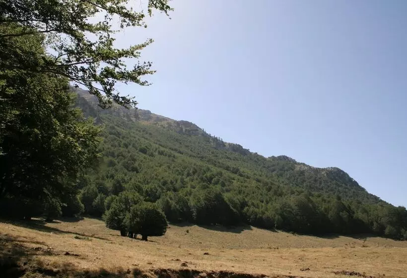 Aamiaismajoitus (B&B) La Dimora Della Zarina