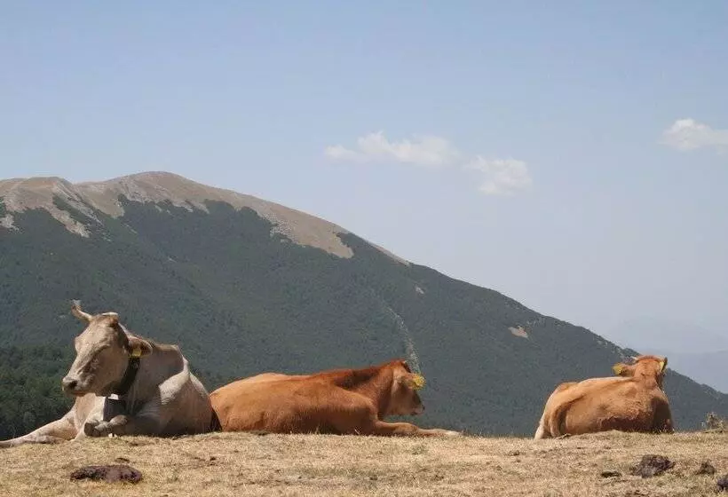 Aamiaismajoitus (B&B) La Dimora Della Zarina