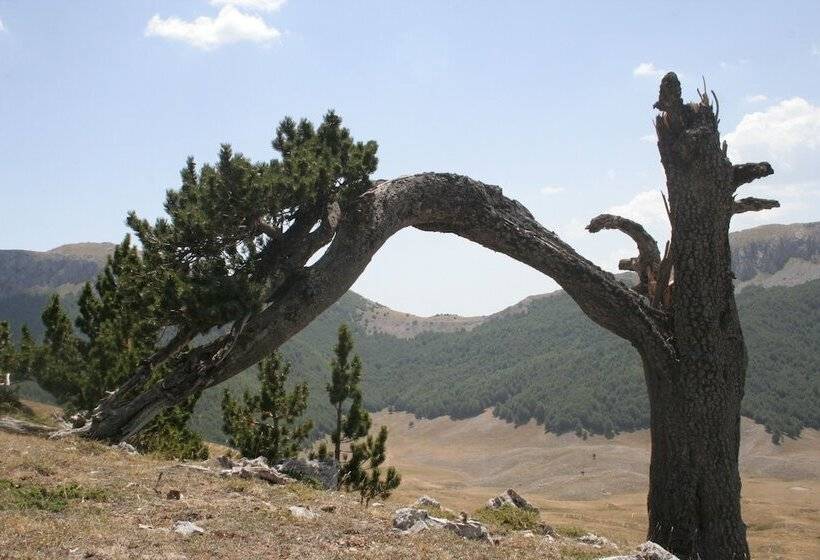 민박 La Dimora Della Zarina