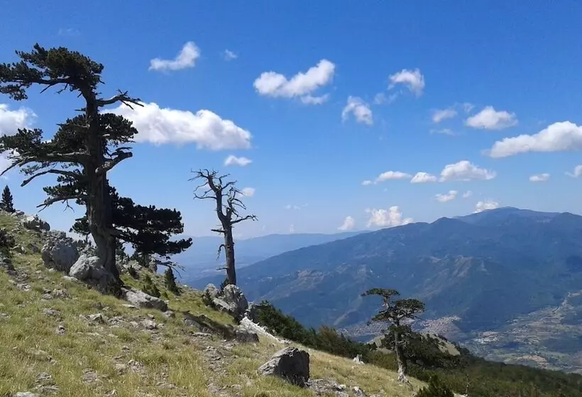 Aamiaismajoitus (B&B) La Dimora Della Zarina