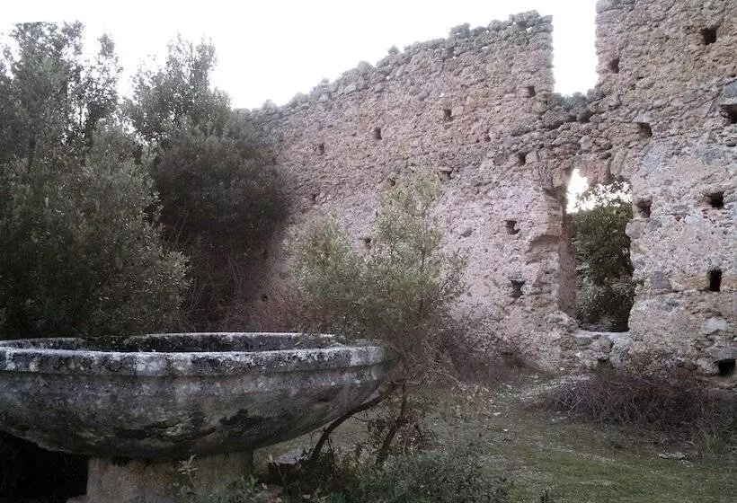 Aamiaismajoitus (B&B) La Dimora Della Zarina