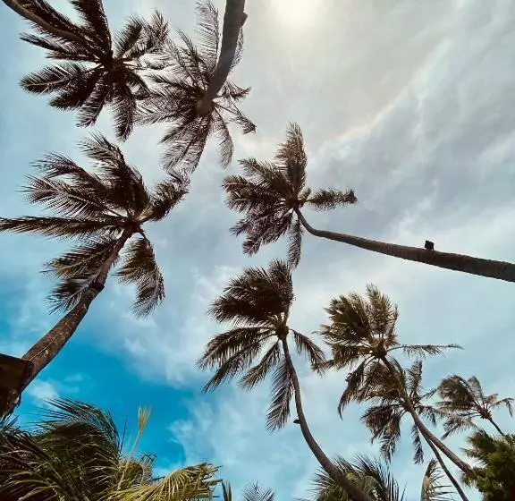 ホテル Pousada Janelas Do Mar