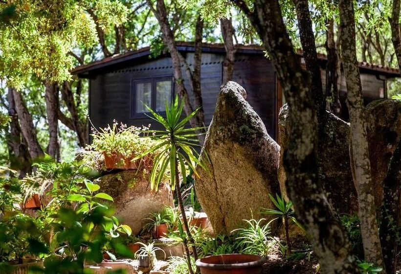 乡村酒店  Agriturismo Saltara