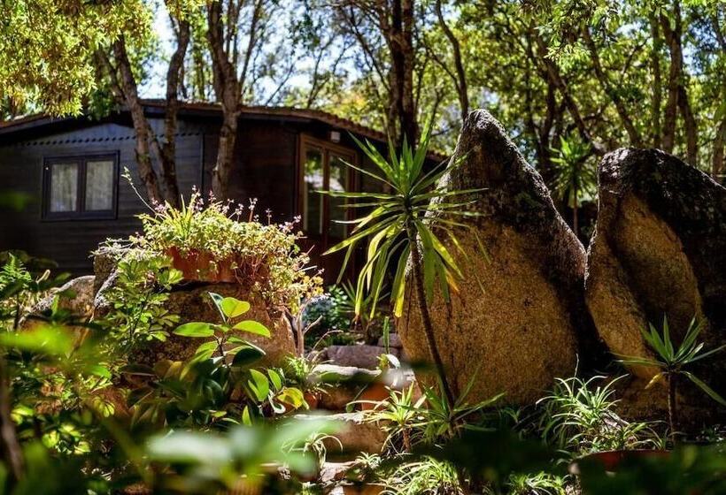 乡村酒店  Agriturismo Saltara