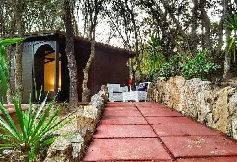 Maaseutuhotelli Agriturismo Saltara