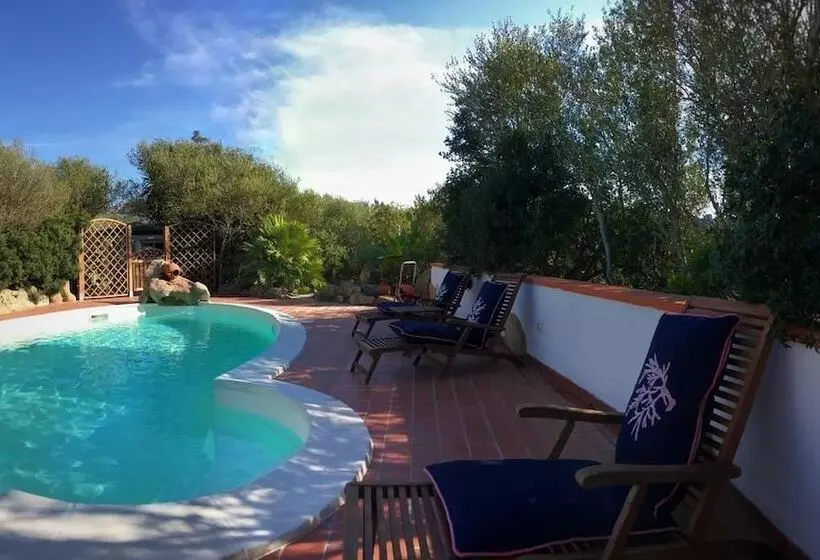 Maaseutuhotelli Agriturismo Saltara