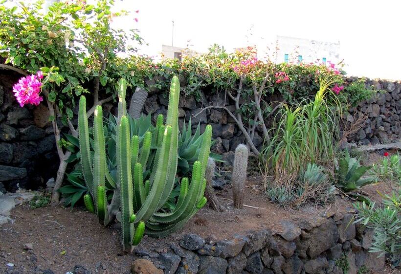 פנסיון I Dammusini Di Pantelleria