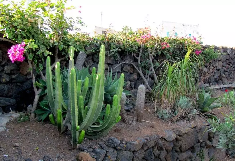 Majatalo I Dammusini Di Pantelleria