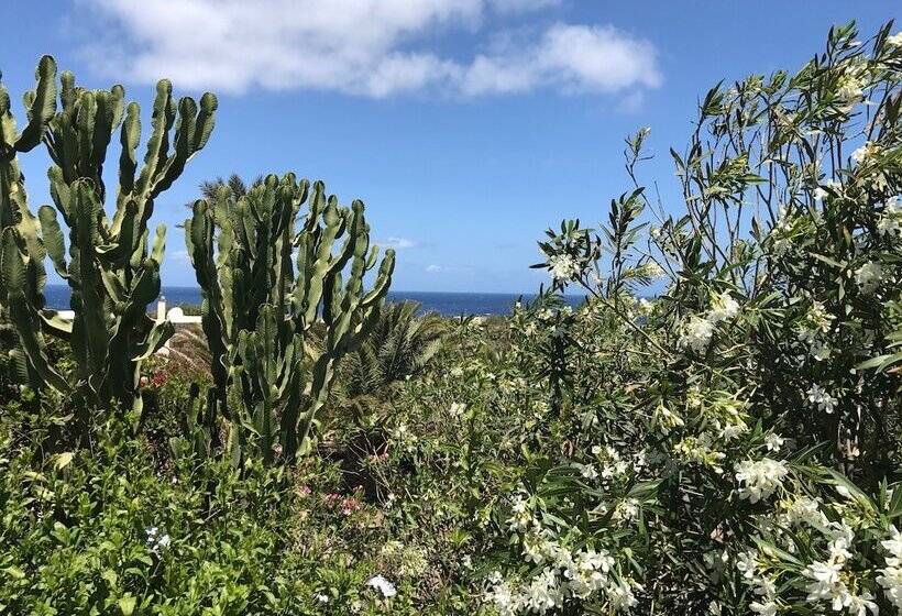 פנסיון I Dammusini Di Pantelleria