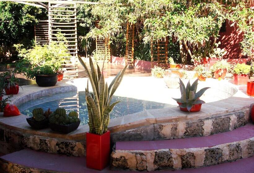 فندق Africa Jade Thalasso