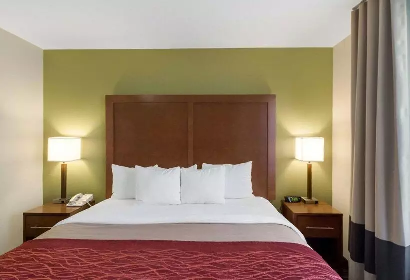 Отель Comfort Inn & Suites Fayettevilleuniversity Area