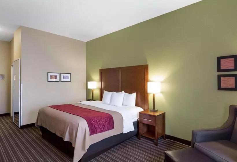 Отель Comfort Inn & Suites Fayettevilleuniversity Area