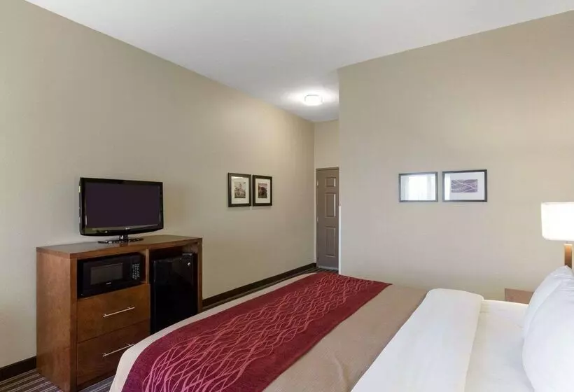 Отель Comfort Inn & Suites Fayettevilleuniversity Area
