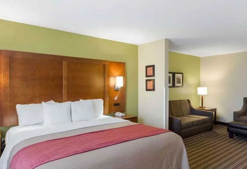 Отель Comfort Inn & Suites Fayettevilleuniversity Area