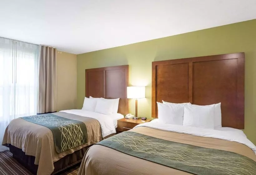 Отель Comfort Inn & Suites Fayettevilleuniversity Area