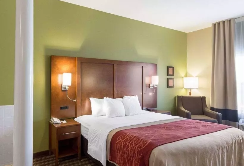 Отель Comfort Inn & Suites Fayettevilleuniversity Area