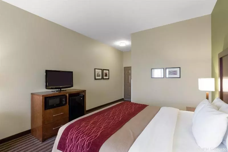 Отель Comfort Inn & Suites Fayettevilleuniversity Area