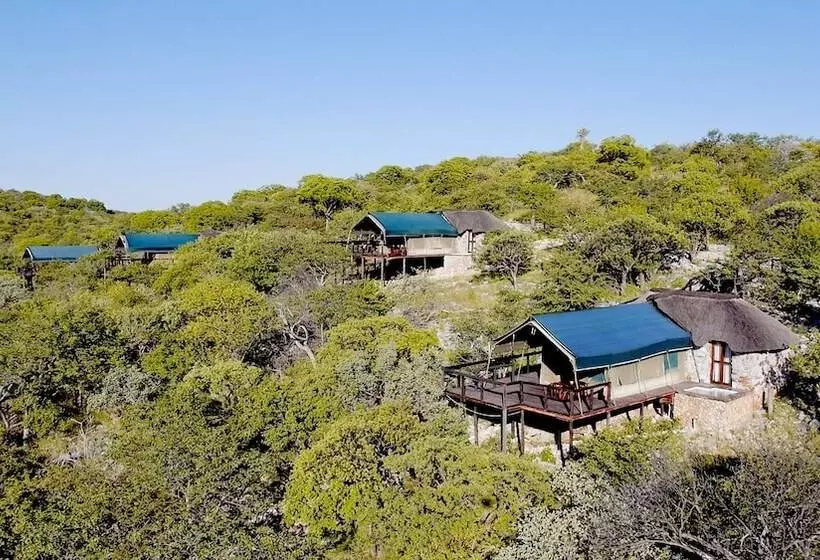 Отель Eagle Tented Lodge & Spa Etosha
