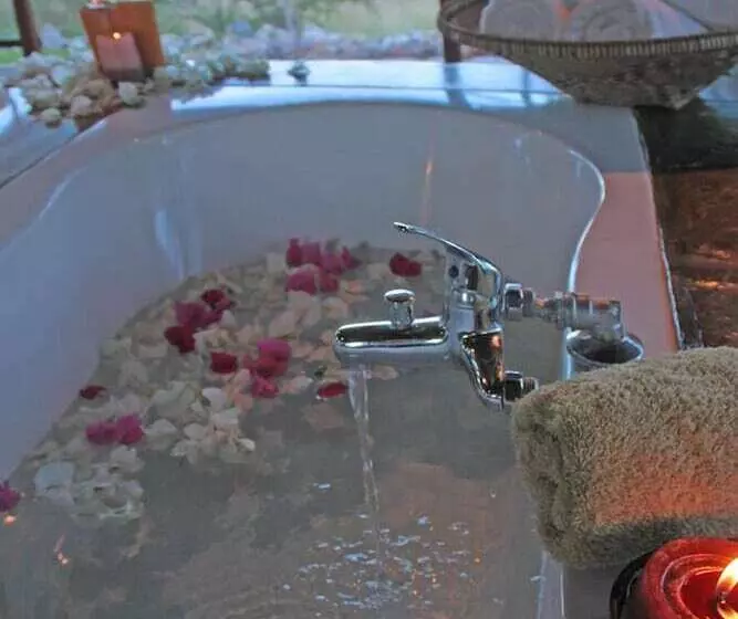 Отель Eagle Tented Lodge & Spa Etosha