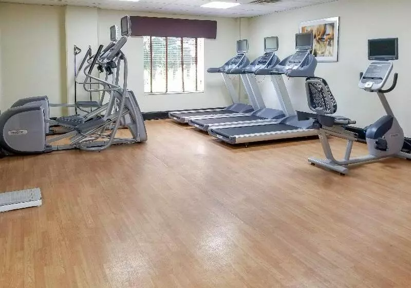 Holiday Inn Express Hotel & Suites Orange City Deltona, An Ihg