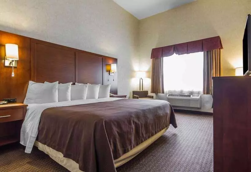 酒店 Quality Inn
