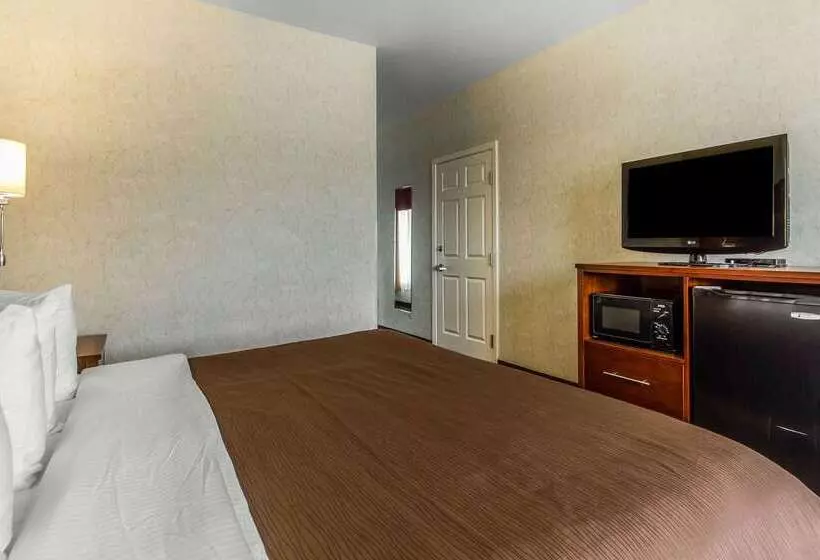 酒店 Quality Inn