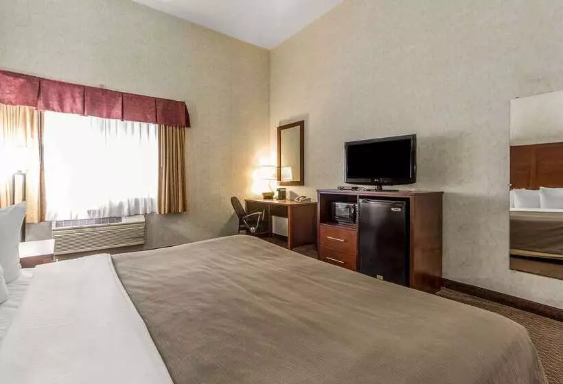 酒店 Quality Inn