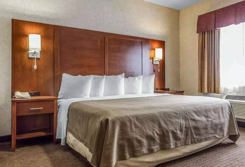 酒店 Quality Inn