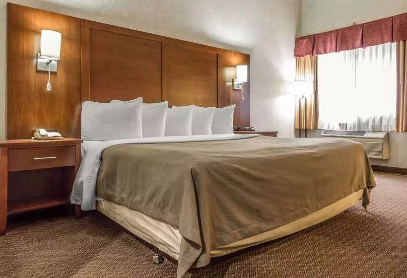 酒店 Quality Inn