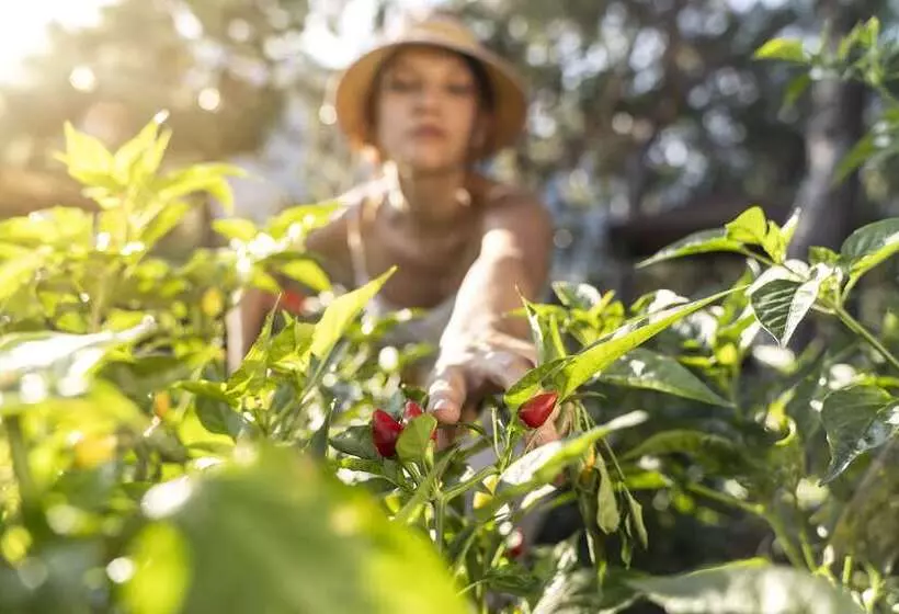 酒店 Tui Magic Life Rixos Beldibi - Adult Only