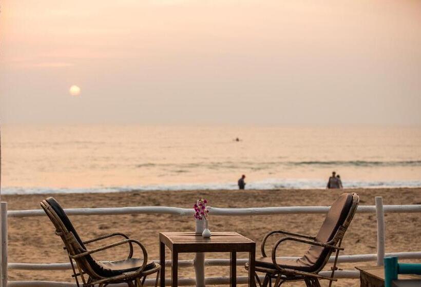 Agonda Shell Beach Resort