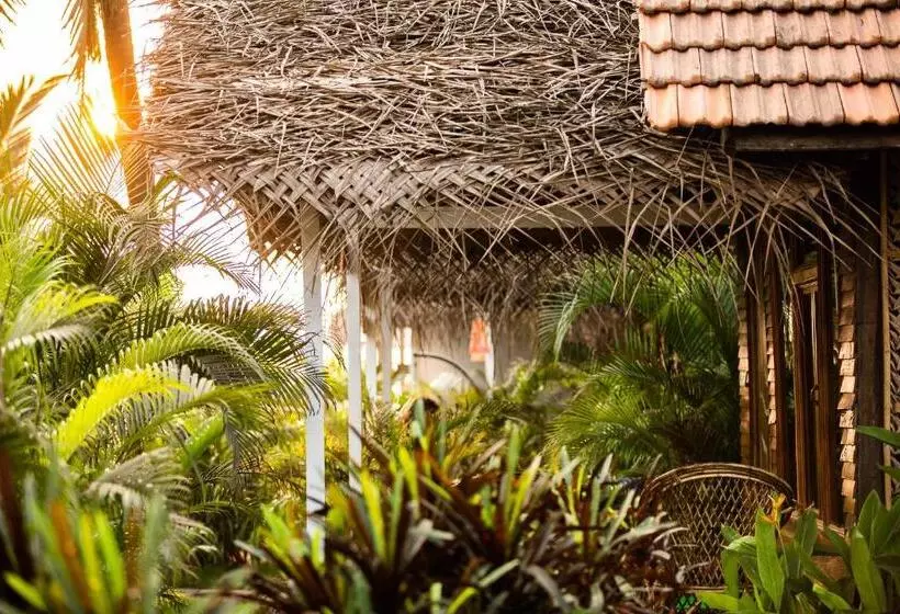 Agonda Shell Beach Resort