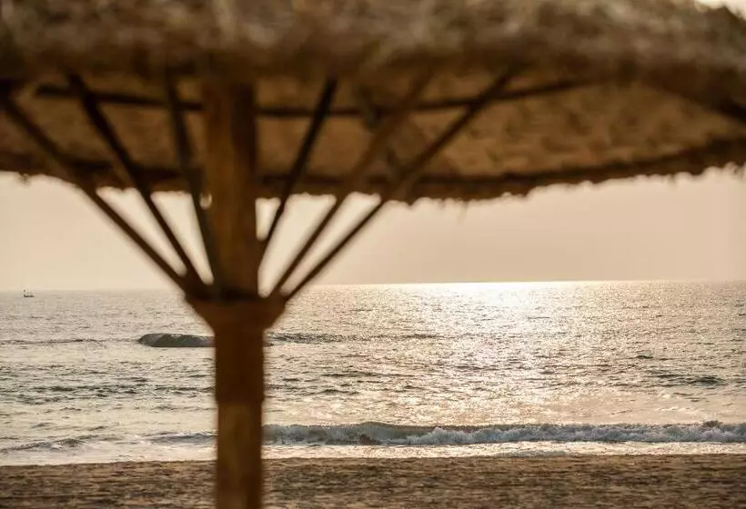 Agonda Shell Beach Resort