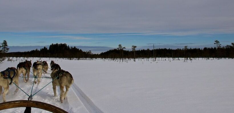 مبيت وإفطار The Lodge Torsby