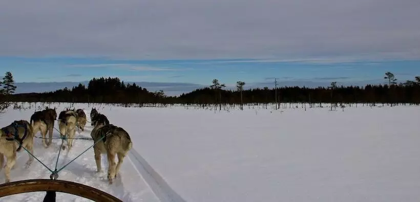 Aamiaismajoitus (B&B) The Lodge Torsby