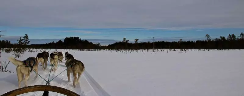 Aamiaismajoitus (B&B) The Lodge Torsby