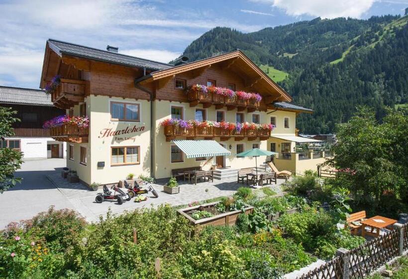 فندق Haarlehenhof