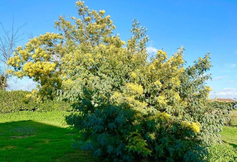 민박 Comme Une évidence Gite Et Chambres D Hotes