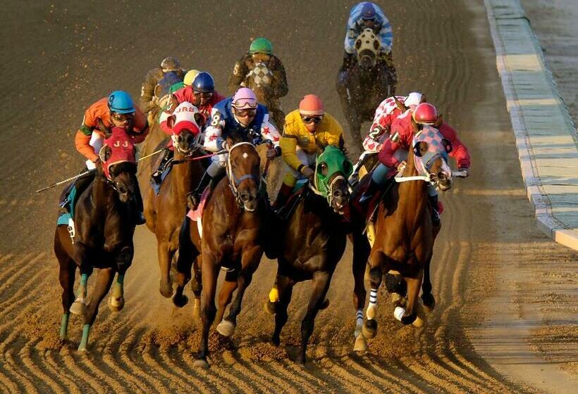 فندق The Inn At Charles Town / Hollywood Casino