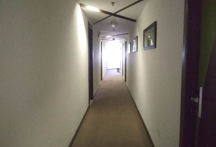 هتل Oyo 89903 Ms City