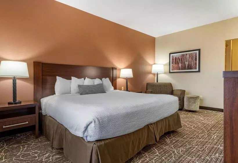 Hotelli Best Western Plus Chelsea