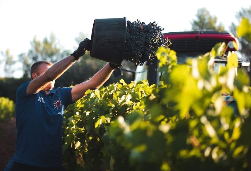 فندق Chateau De Berne