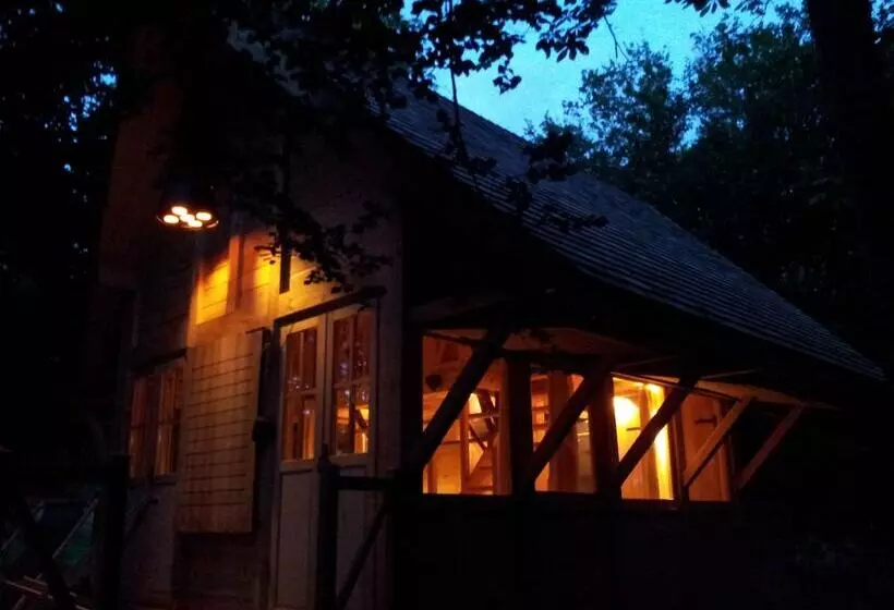 Отель Chateau Des Briottieres