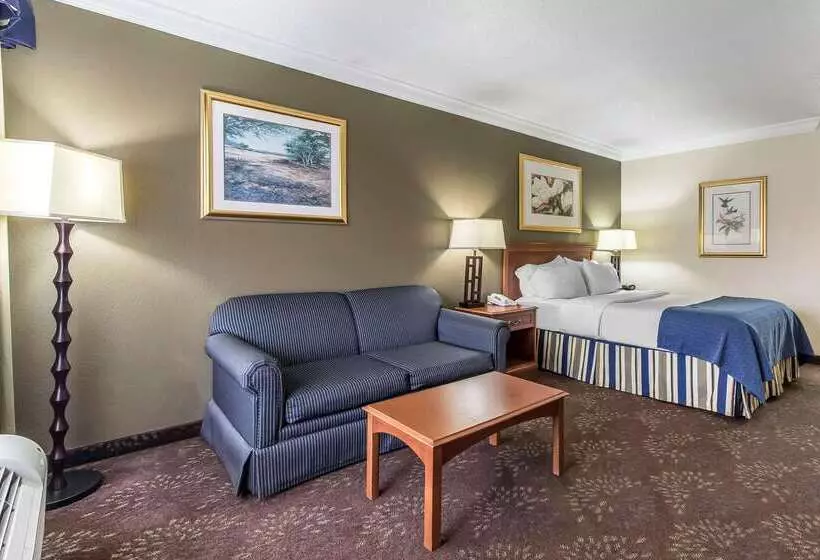 酒店 Clarion Inn Morgan City