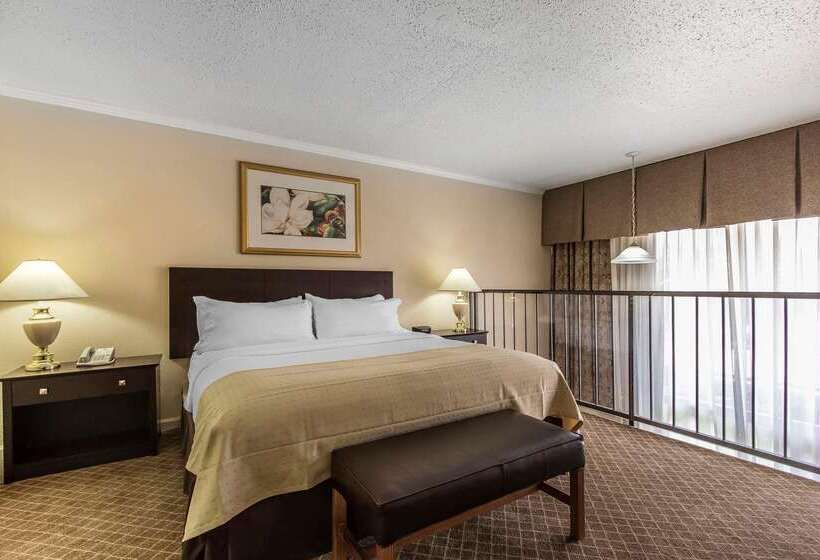 酒店 Clarion Inn Morgan City