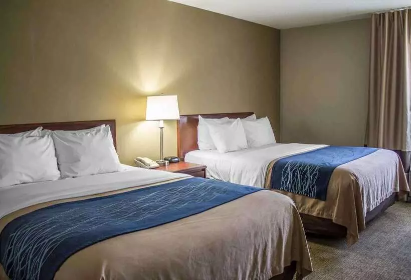 ホテル Comfort Inn