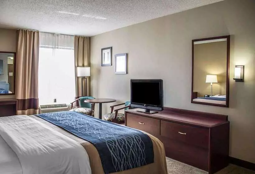 ホテル Comfort Inn